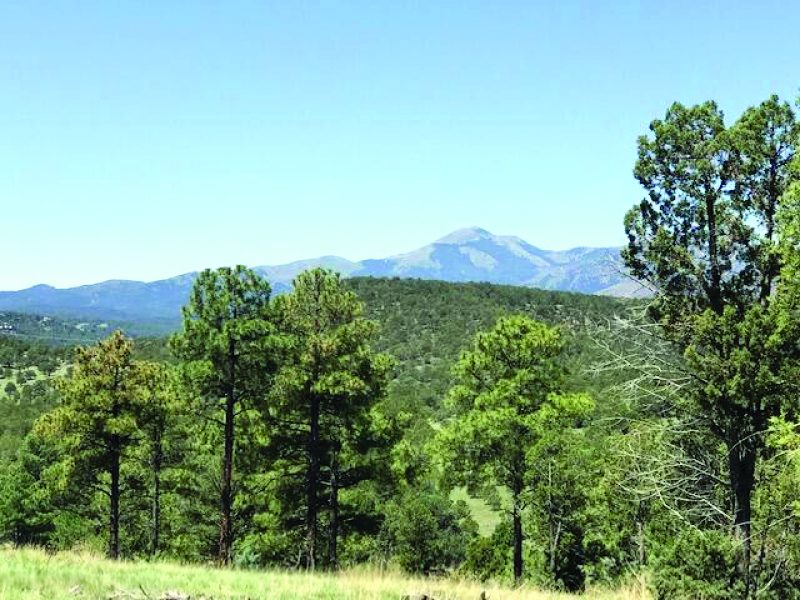 Property in Ruidoso — photo as printed in The Real Estate Roundup
