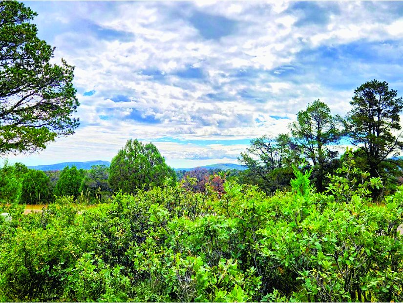 1.23 Acre Property in Alto — photo as printed in The Real Estate Roundup