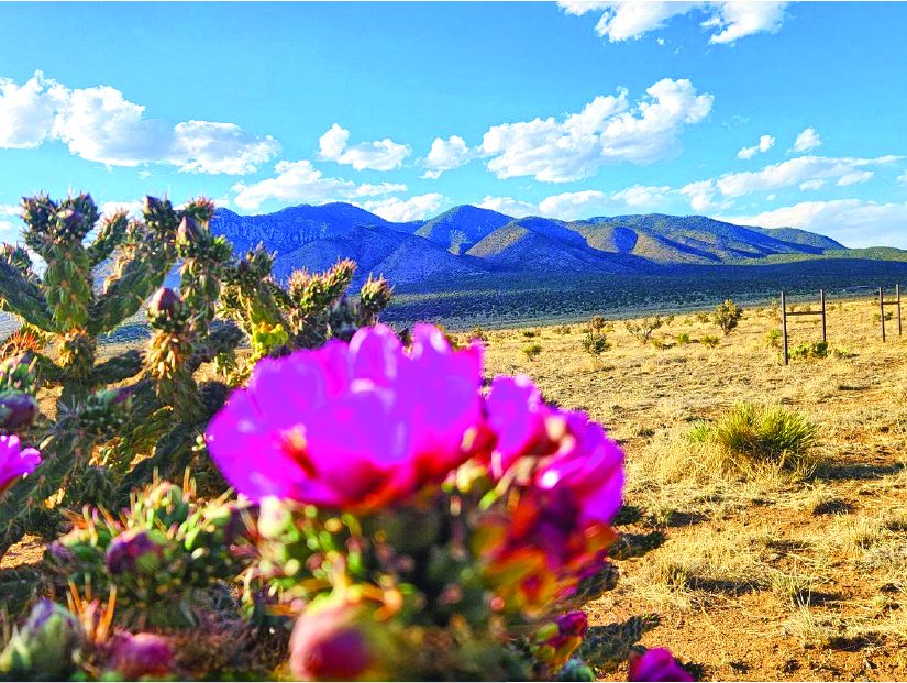 142.0 Acre Property in Ruidoso — photo as printed in The Real Estate Roundup