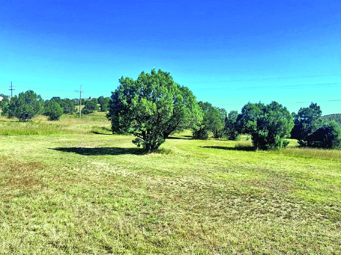 0.5 Acre Property in Alto — photo as printed in The Real Estate Roundup