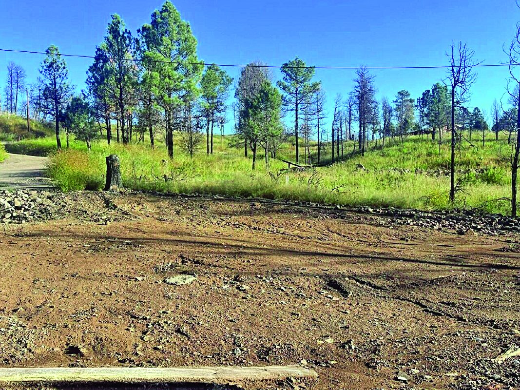 Property — photo as printed in The Real Estate Roundup