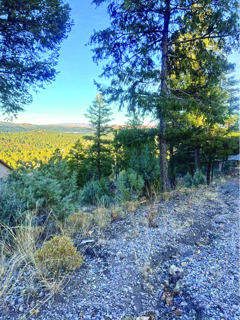 Property in Grindstone — photo as printed in The Real Estate Roundup