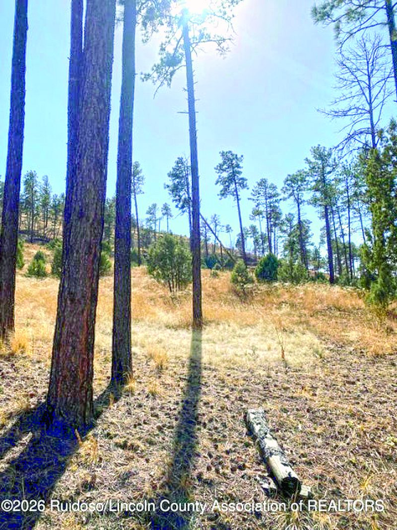 0.32 Acre Property — photo as printed in The Real Estate Roundup