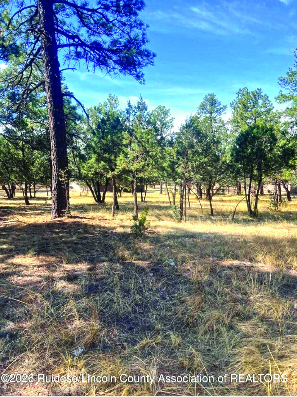 Property in Alto — photo as printed in The Real Estate Roundup