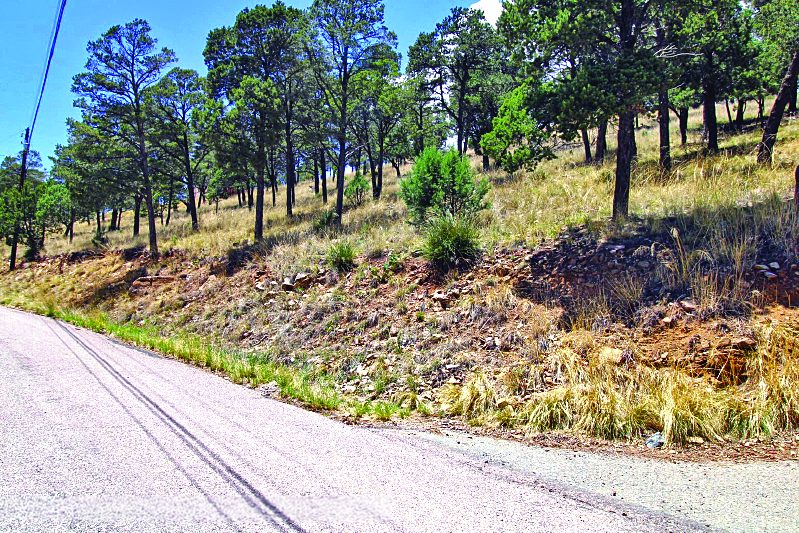 105 & 107 Valley View Drive — photo as printed in The Real Estate Roundup