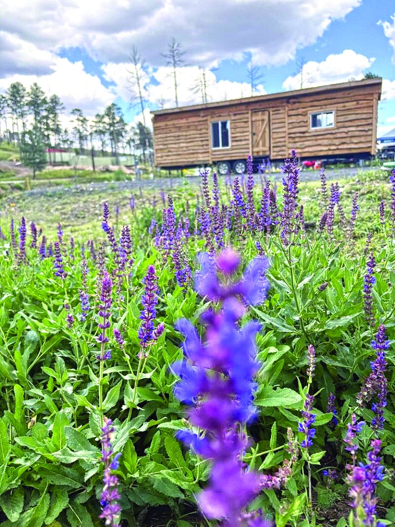 Property — photo as printed in The Real Estate Roundup