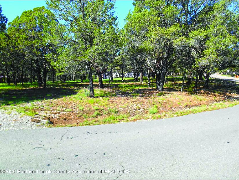 Property — photo as printed in The Real Estate Roundup
