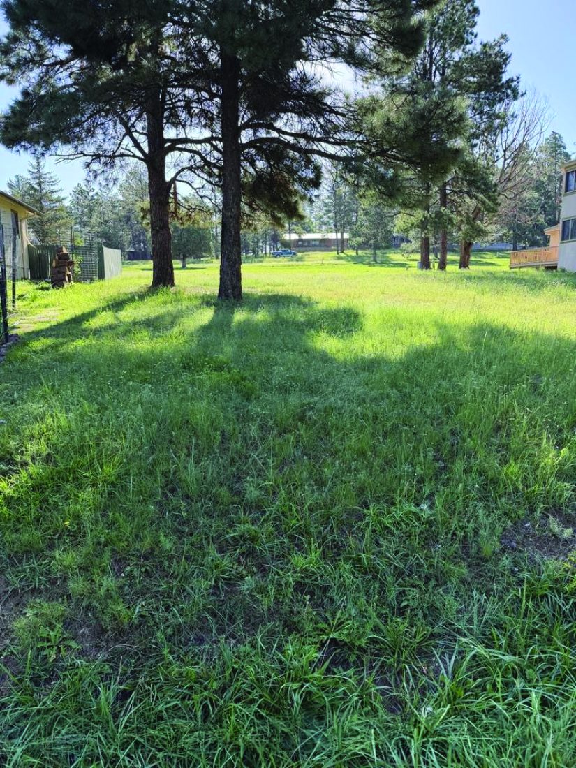 Property in Ruidoso — photo as printed in The Real Estate Roundup