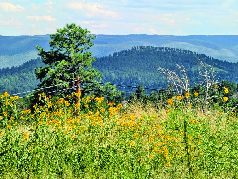 Property — photo as printed in The Real Estate Roundup
