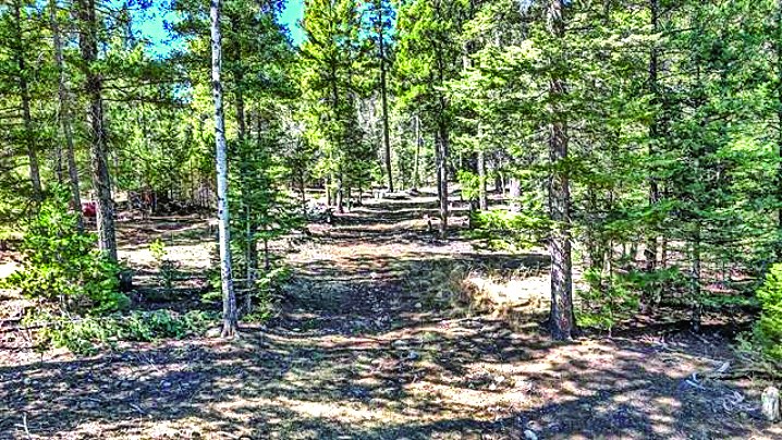 0 Evergreen Ln — photo as printed in The Real Estate Roundup