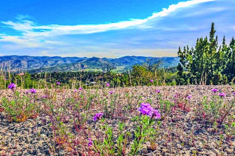 41 Sierra Blanca Dr — photo as printed in The Real Estate Roundup