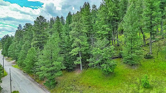 183.0 Acre Property — photo as printed in The Real Estate Roundup