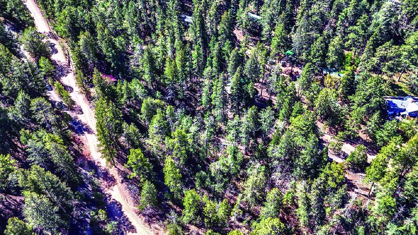 19 Running Deer Tr — photo as printed in The Real Estate Roundup