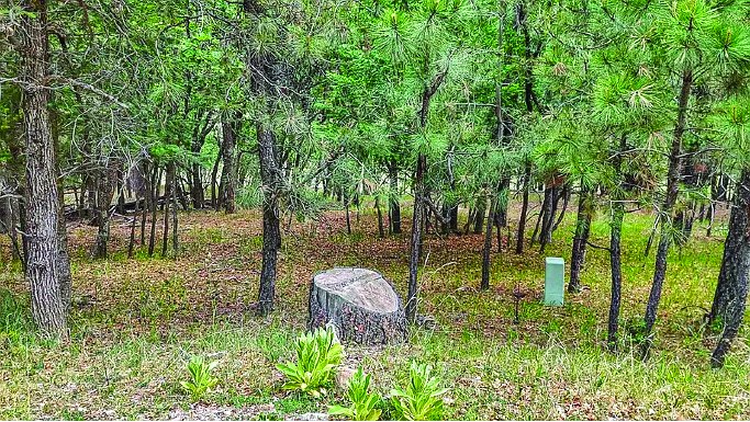 27 Ponderosa Pines — photo as printed in The Real Estate Roundup