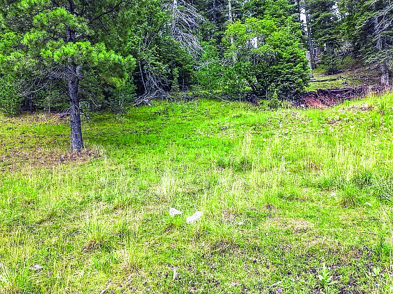 0.214 Acre Property — photo as printed in The Real Estate Roundup
