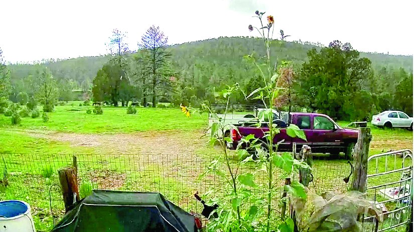 3 Bedroom 27.261 Acre Property in Weed — photo as printed in The Real Estate Roundup