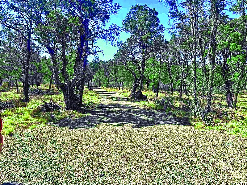 Property in Timberon — photo as printed in The Real Estate Roundup