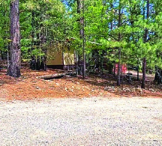 Property in Cloudcroft — photo as printed in The Real Estate Roundup