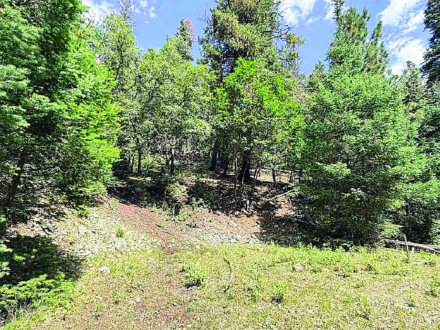 9.91 Acre Property — photo as printed in The Real Estate Roundup