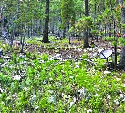 Property in Cloudcroft — photo as printed in The Real Estate Roundup