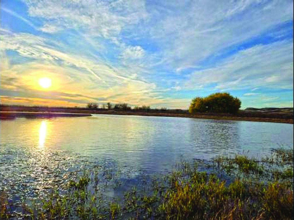 5344 Red Lake Road, Fort Sumner, NM — photo as printed in The Real Estate Roundup