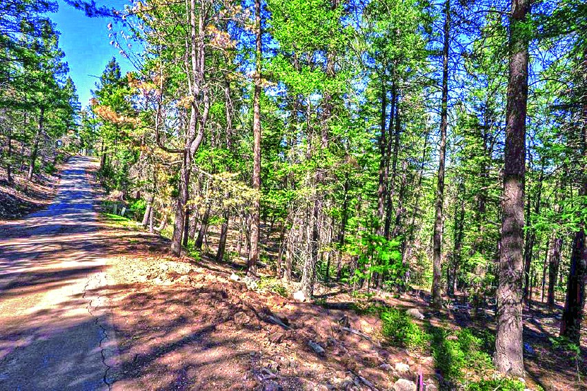 14 Aspen — photo as printed in The Real Estate Roundup